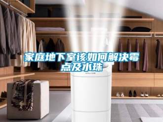 常見問題家庭地下室該如何解決霉點及水珠