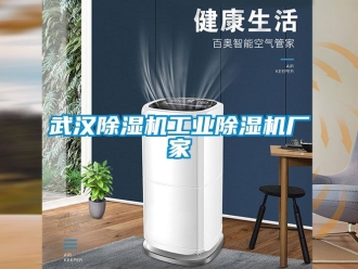 企業(yè)新聞武漢除濕機工業(yè)除濕機廠家