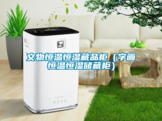 知識百科文物恒溫恒濕藏品柜（字畫恒溫恒濕儲藏柜）
