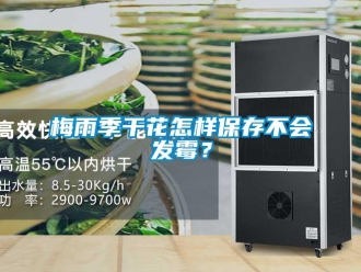 常見問題梅雨季干花怎樣保存不會發(fā)霉？