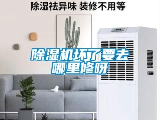 行業新聞除濕機壞了要去哪里修呀