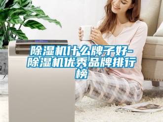 企業新聞除濕機什么牌子好-除濕機優秀品牌排行榜