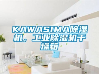 常見(jiàn)問(wèn)題KAWASIMA除濕機(jī)，工業(yè)除濕機(jī)干燥箱