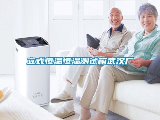知識(shí)百科立式恒溫恒濕測(cè)試箱武漢廠