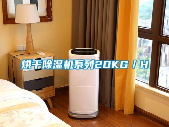行業(yè)新聞烘干除濕機(jī)系列20KG／H