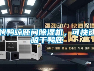 行業新聞烤鴨晾胚間除濕機，可快速晾干鴨胚