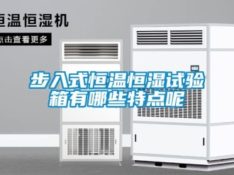 知識(shí)百科步入式恒溫恒濕試驗(yàn)箱有哪些特點(diǎn)呢