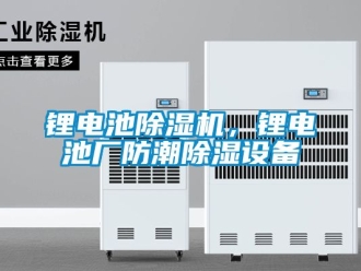 行業(yè)新聞鋰電池除濕機，鋰電池廠防潮除濕設(shè)備