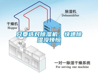 知識百科只要選對除濕機，快速除濕沒煩惱