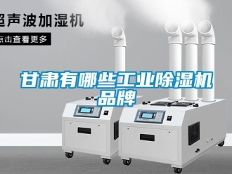 常見問題甘肅有哪些工業除濕機品牌