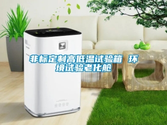 常見問題非標定制高低溫試驗箱 環境試驗老化艙