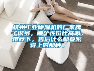 企業(yè)新聞杭州工業(yè)除濕機(jī)的廠家牌子很多，哪個(gè)性價(jià)比高啊，推薦下，售后什么都要跟得上的那種。