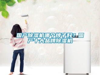 行業新聞國產除濕機哪個牌子好？國產十大品牌除濕機