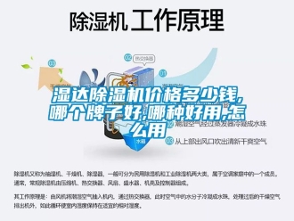 企業(yè)新聞濕達(dá)除濕機(jī)價(jià)格多少錢(qián),哪個(gè)牌子好,哪種好用,怎么用
