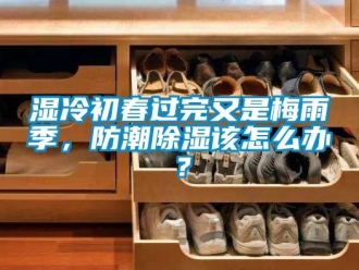 常見問題濕冷初春過完又是梅雨季，防潮除濕該怎么辦？