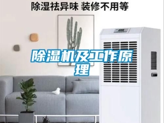 行業(yè)新聞除濕機(jī)及工作原理