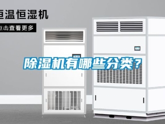 行業新聞除濕機有哪些分類？