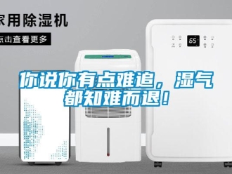 行業新聞你說你有點難追，濕氣都知難而退！