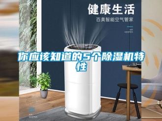 行業新聞你應該知道的5個除濕機特性