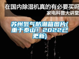 常見問題蘇州氮氣防潮箱圖片(重于泰山！2022已更新)