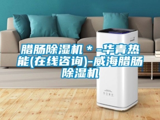 行業(yè)新聞臘腸除濕機(jī)＊-華青熱能(在線咨詢)-威海臘腸除濕機(jī)