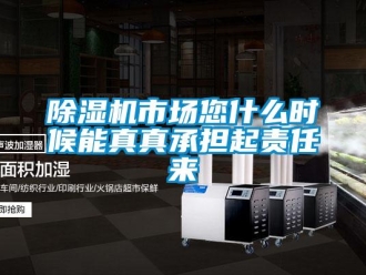 企業新聞除濕機市場您什么時候能真真承擔起責任來