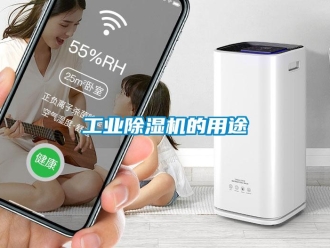 企業(yè)新聞工業(yè)除濕機的用途