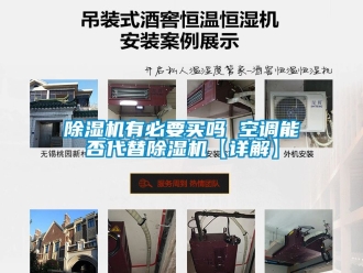 行業新聞除濕機有必要買嗎 空調能否代替除濕機【詳解】