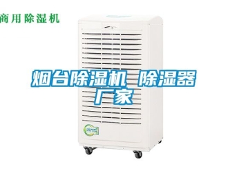企業(yè)新聞煙臺(tái)除濕機(jī) 除濕器廠家