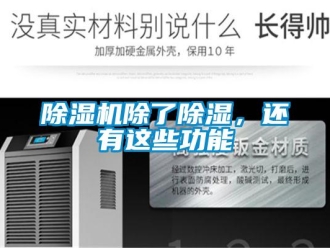 企業(yè)新聞除濕機(jī)除了除濕，還有這些功能