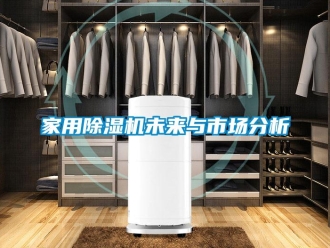 行業新聞家用除濕機未來與市場分析