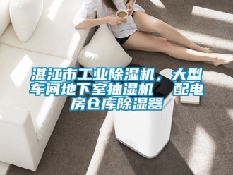 常見問題湛江市工業(yè)除濕機，大型車間地下室抽濕機  配電房倉庫除濕器