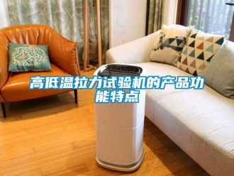 常見問題高低溫拉力試驗機的產品功能特點