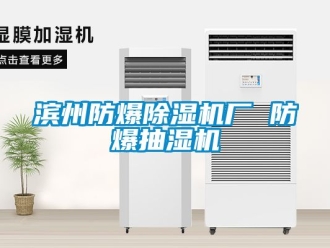 企業(yè)新聞濱州防爆除濕機(jī)廠 防爆抽濕機(jī)