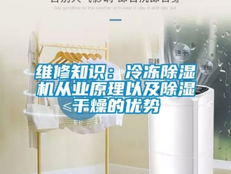 行業(yè)新聞維修知識(shí)：冷凍除濕機(jī)從業(yè)原理以及除濕干燥的優(yōu)勢(shì)