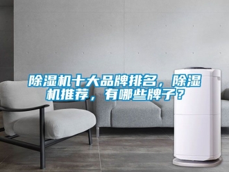 企業(yè)新聞除濕機(jī)十大品牌排名，除濕機(jī)推薦，有哪些牌子？