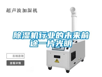 企業(yè)新聞除濕機(jī)行業(yè)的未來前途一片光明