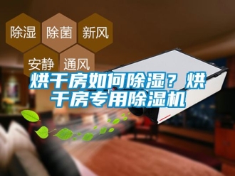 行業新聞烘干房如何除濕？烘干房專用除濕機