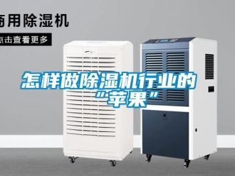 常見問題怎樣做除濕機(jī)行業(yè)的“蘋果”