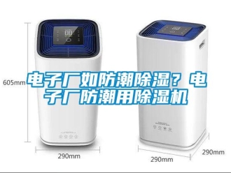 企業(yè)新聞電子廠如防潮除濕？電子廠防潮用除濕機