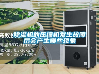 常見問題除濕機(jī)的壓縮機(jī)發(fā)生故障后會產(chǎn)生哪些現(xiàn)象