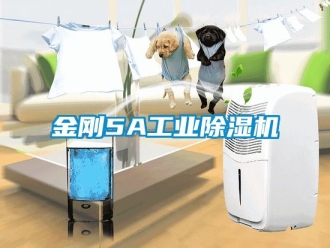 常見問題金剛5A工業(yè)除濕機