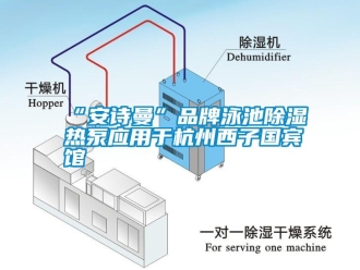 企業(yè)新聞“安詩(shī)曼”品牌泳池除濕熱泵應(yīng)用于杭州西子國(guó)賓館