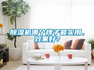 行業新聞除濕機哪個牌子最實用，效果好？