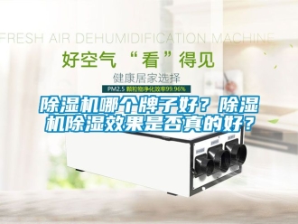 行業(yè)新聞除濕機哪個牌子好？除濕機除濕效果是否真的好？