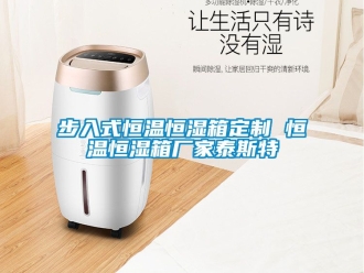 知識百科步入式恒溫恒濕箱定制 恒溫恒濕箱廠家泰斯特