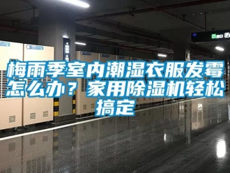 常見問題梅雨季室內潮濕衣服發霉怎么辦？家用除濕機輕松搞定