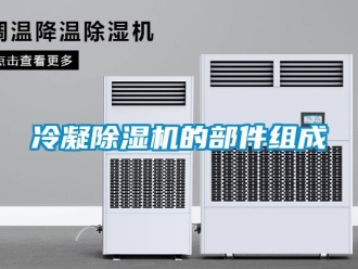 行業新聞冷凝除濕機的部件組成