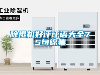 行業新聞除濕機好評評語大全75句錦集