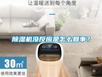 行業(yè)新聞除濕機(jī)沒反應(yīng)是怎么回事？